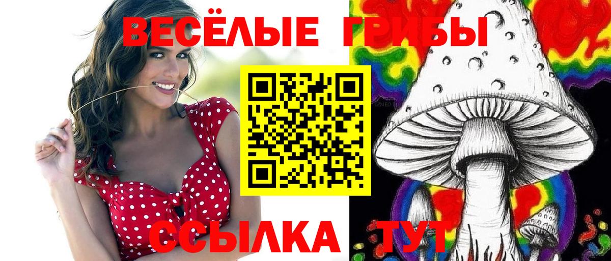 Псилоцибиновые грибы прущие грибы Курчатов